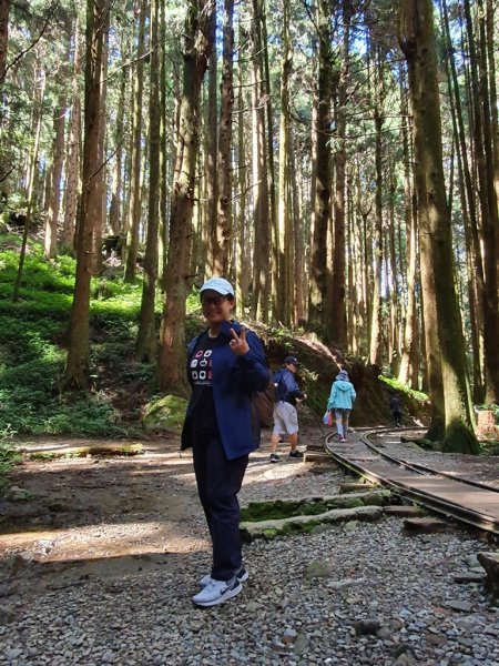 【阿里山】特富野古道1093708