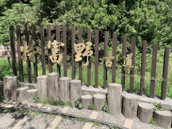 20250517義義兒玉山-東水山