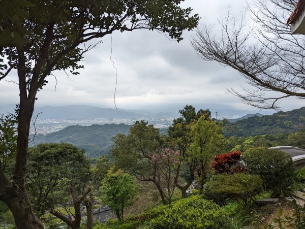 2022.03.05－大棟山縱走1636856