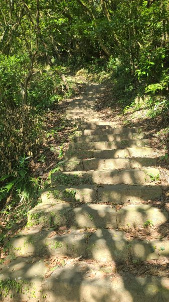 2025-0130溪和宮-大崎頭步道-鵝尾山-平溪步道-鵝尾山水田-42巷-溪山百年古圳-平菁步道2701849