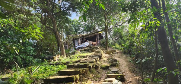 2026_01_18_探索你的後花園@土城2985010