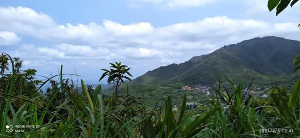 基隆山步道-交通便利、有山有水、逛老街、吃芋圓1335365