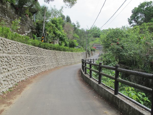 小中嵙登山步道942197