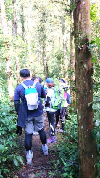 20181014日湯真山446483