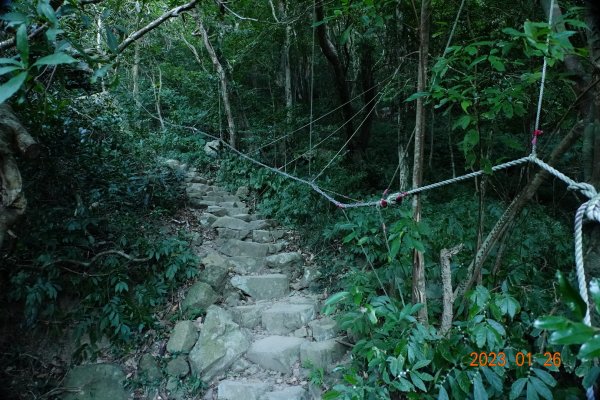 屏東 獅子鄉 里龍山(里隆山、里瀧山、鯉龍山)、下里龍山2018524