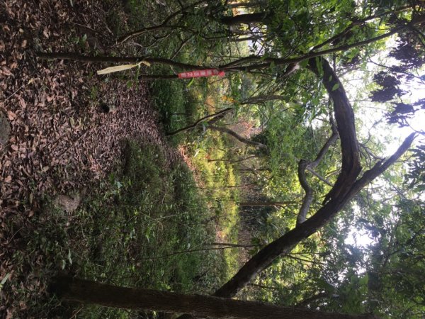 糖子恩山（鐵谷山宮2752035