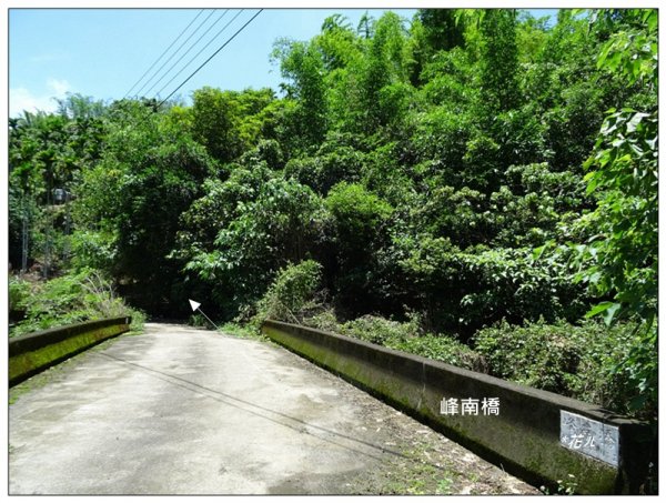 青桐林山(本雙溪嘴山、北坑山)1718487