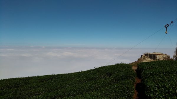 望風斷崖+雲之南道+大巃頂+獨立山縱走202950