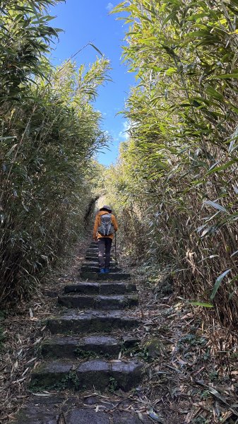 大屯山 (主、南、西峰、二子坪)縱走2029160