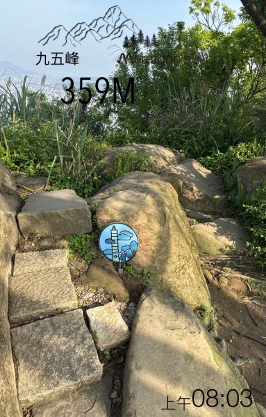 台北大縱走六七段2752108