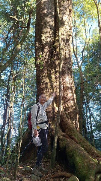 稍來神木+稍來山+稍來山南峰O型202412292678984