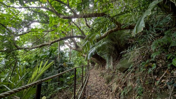 114.06.01溪山百年古圳-太平尾山+聖人崙之旅2801856