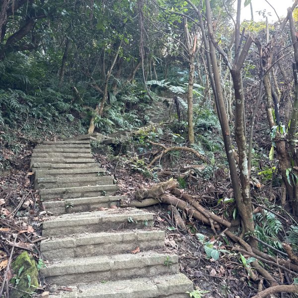 20260110 更寮古道(小百岳-土庫岳)2980761