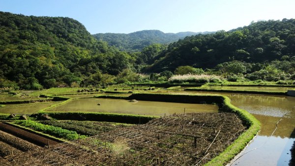 淡蘭古道風華再現~草嶺古道連走桃源谷472724