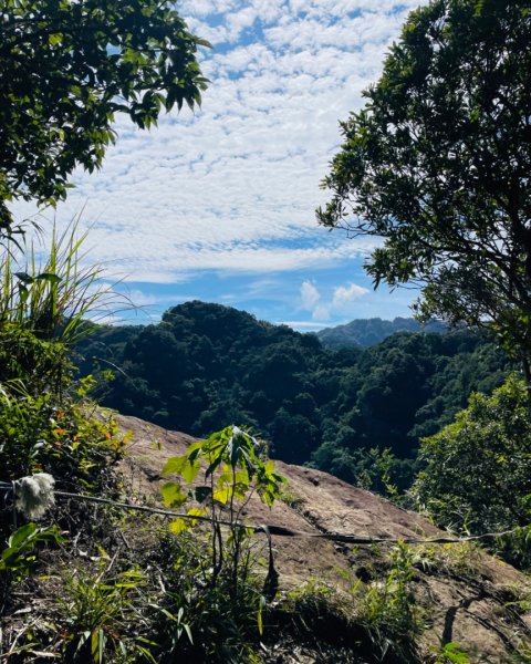 三峽-金敏子山-詩朗山-塞口坑山-內金敏子山四山O型2628697