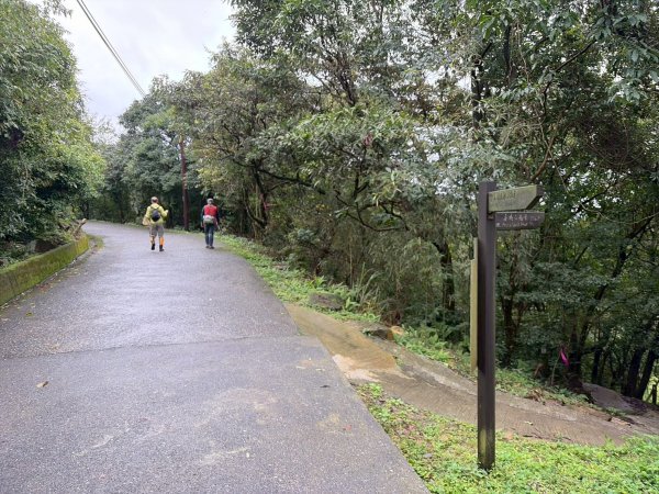 新北 汐止 柯子林橋-柯子林天然泳池-友蚋山南峰-友蚋山-新山-夢湖-柯子林橋2988383