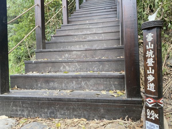 《雪山坑登山步道｜巨人之手森林秘境 Xueshankeng Hiking Trail & Giant2971058