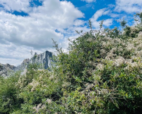 川藏深度之旅33天/A行程2901333
