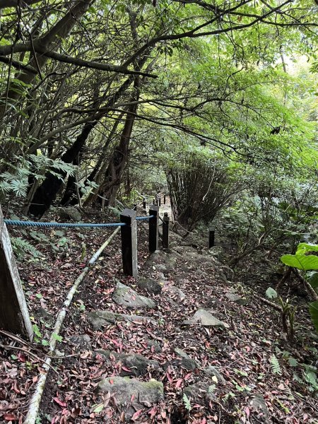 山仔頂步道至向天山、面天山2505658