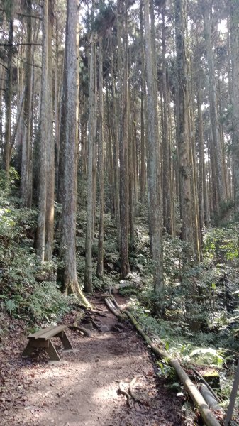 探加里山路徑2054182