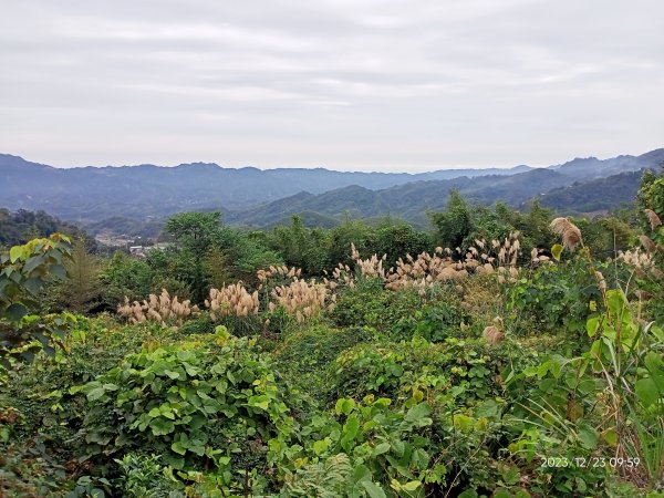 四訪苗栗的花果山-小百岳#037馬那邦山、雪霸國家公園管理處【小百岳集起來、苗栗-臺灣百大必訪步道】2394310