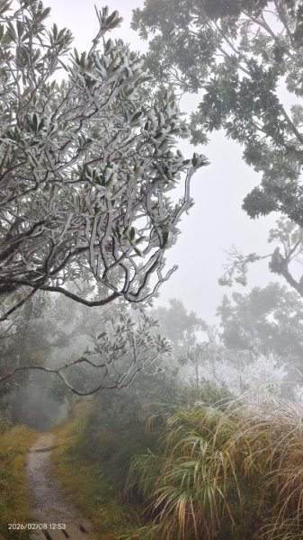 #霧淞 #雲海 #雲瀑 #霧虹 #太平山 #望洋山 #觀雲步道 #翠峰道路  2/82995345