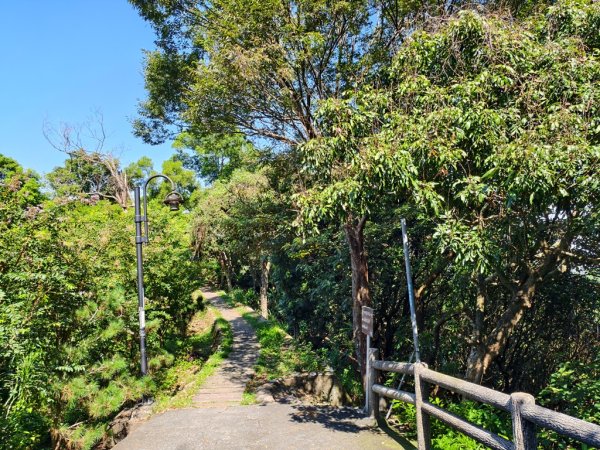 【員林】隴頂古道連走萬里長城及藤山步道O繞2871791