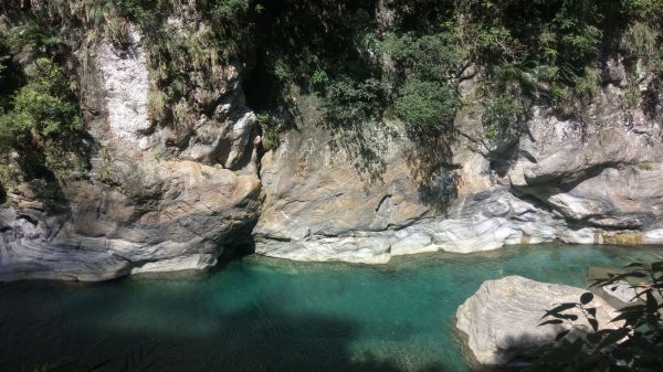 砂卡噹+白楊步道一日健走335310