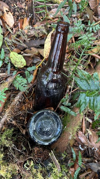 四季林道加羅山檜木池3044557