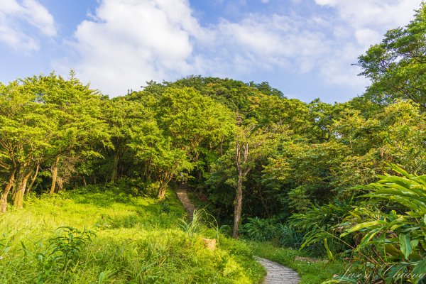 [新北]汐止大尖山2906098