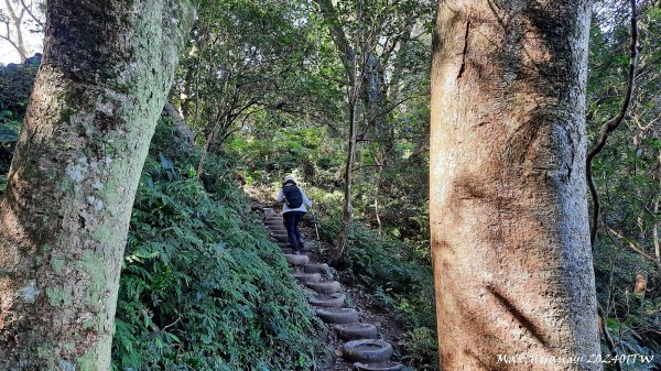 《桃園》一等郊山｜石門山登山步道O繞202401062397576