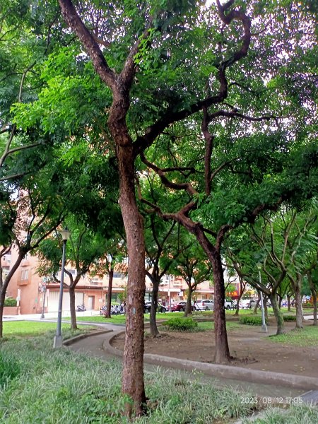 內湖大港墘、瑞陽公園；宏匯瑞光、港富廣場【走路趣尋寶、健康大穀東】2259185