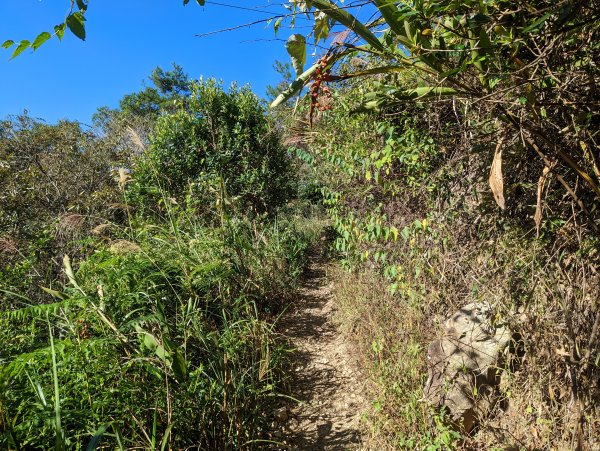 谷關七雄：擁有360度視野遼闊的東卯山1898313