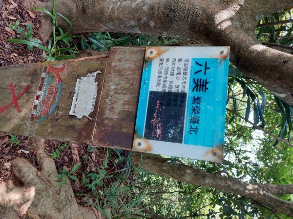 台北大縱走第五段1772733