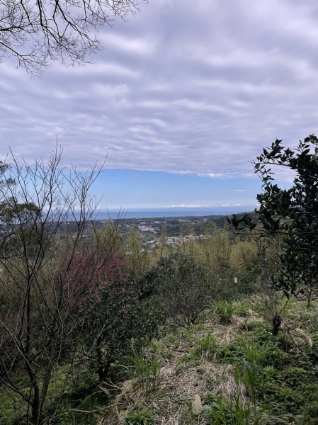 山仔頂步道2708440