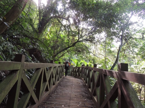 苗栗獅潭鳴鳳古道23199