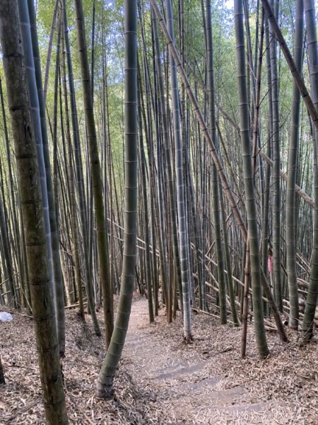石壁山3066070