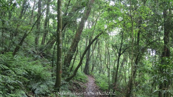 《雲林》望好望角｜石壁山嘉南雲峰步道(中側登山口）202506072805518