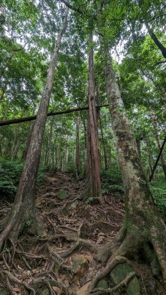 113.05.25北得拉曼-內鳥嘴山2529780