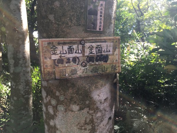 大溪金面山(3登山上2登山下)O形1006481