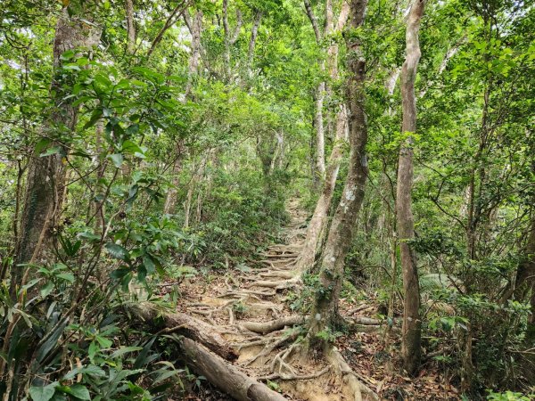 小百岳No.80⛰里龍山2776349