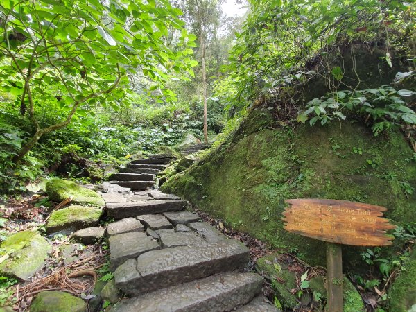 溪頭登山步道 健行筆記
