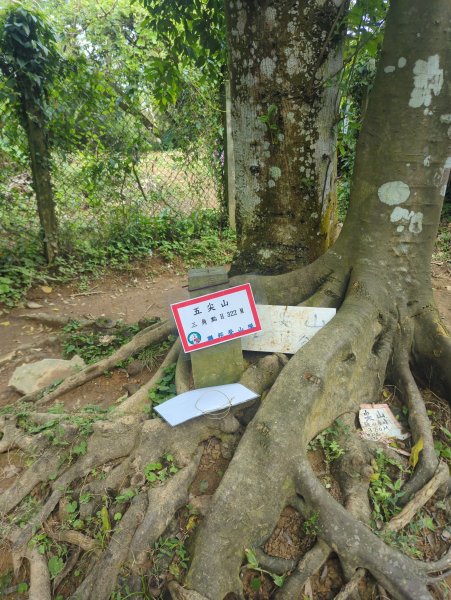 2026.01.25－微笑山線：【天上山系】烘爐地土地公段2994611