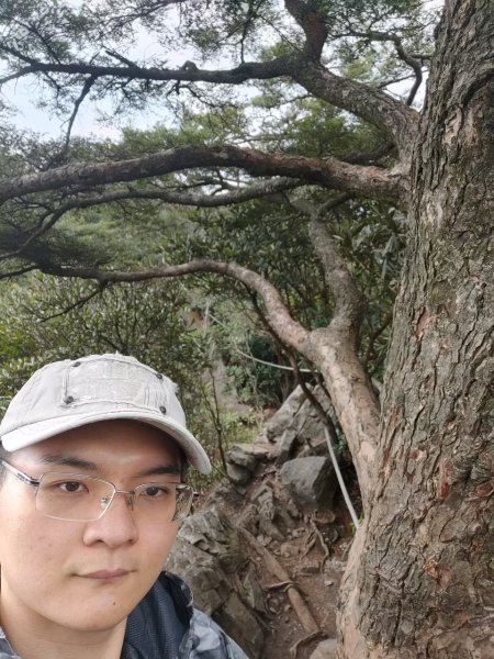 中級山-鳶嘴稍來2889023