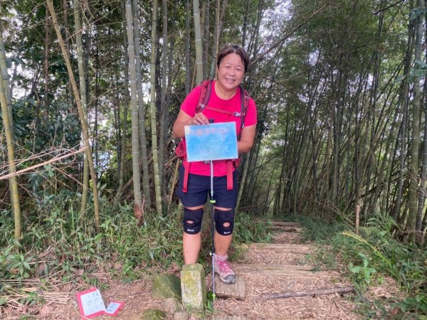 嘉雲南七連峰二尖山丶大尖山、馬鞍山、梨子腳山丶太平山、大巃頂西北峰、大巃頂1866574