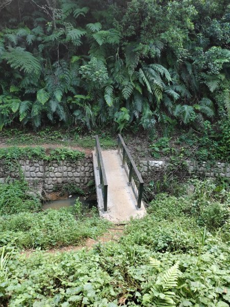 林口頂福巖森林步道2838117