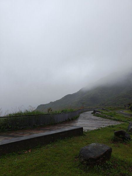 20260327茶壺山3024498