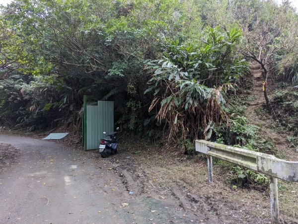 2023-02-11 槓子寮砲台、槓子寮山步道（龍崗步道）2792627