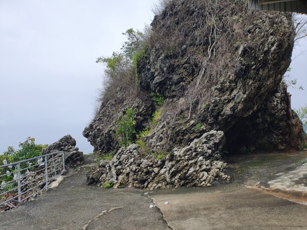 大崗山（小百岳）1009166