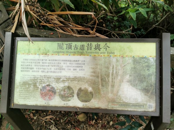 待人坑隴頂古道-昔日與南投物資交換的要道1047826